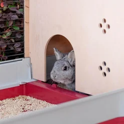 FERPLAST - Ferplast - cage cochon d'inde - cage lapin - maison lapin - clapier lapin - accessoires inclus - ouvrant et modulable 142 x 60 x h