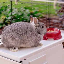 FERPLAST - Ferplast - cage cochon d'inde - cage lapin - maison lapin - clapier lapin - accessoires inclus - ouvrant et modulable 142 x 60 x h