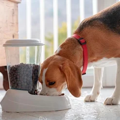 FERPLAST - Ferplast distributeur de croquettes pour chiens et chats zenith, 3 litres, distributeur de croquettes pour animaux, fond