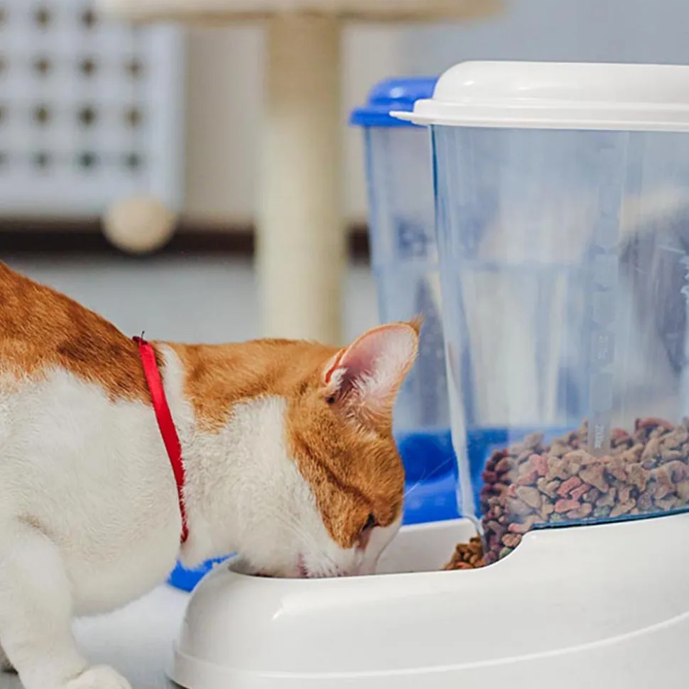 FERPLAST - Ferplast distributeur d'eau pour chat et chien nadir, abreuvoir 3 litres pour petits et moyens chiens, fond antidérapant, 29,2 x