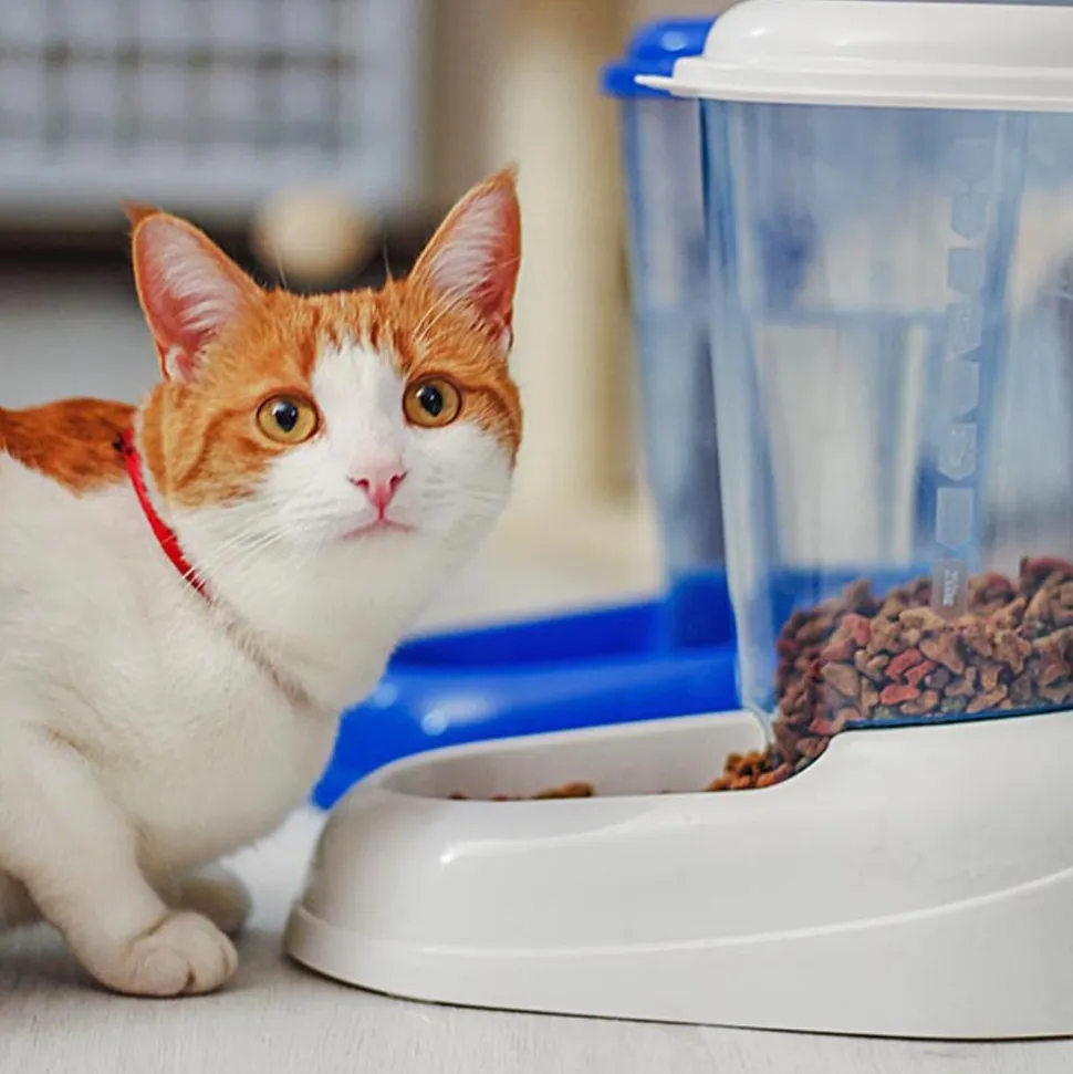 FERPLAST - Ferplast distributeur d'eau pour chat et chien nadir, abreuvoir 3 litres pour petits et moyens chiens, fond antidérapant, 29,2 x