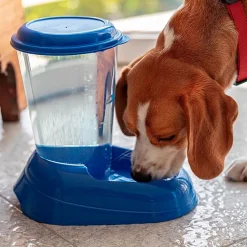 FERPLAST - Ferplast distributeur d'eau pour chat et chien nadir, abreuvoir 3 litres pour petits et moyens chiens, fond antidérapant, 29,2 x