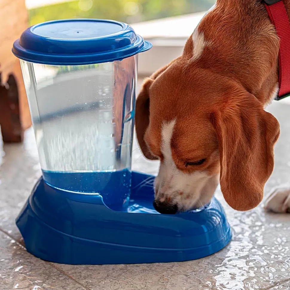 FERPLAST - Ferplast distributeur d'eau pour chat et chien nadir, abreuvoir 3 litres pour petits et moyens chiens, fond antidérapant, 29,2 x