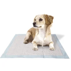 FERPLAST - Tapis hygiénique pour chiens genico basic, 60x60 cm