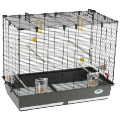Ferplast grande cage pour canaris, perruches et oiseaux exotiques piano 6, avec mangeoires pivotantes et accessoires
