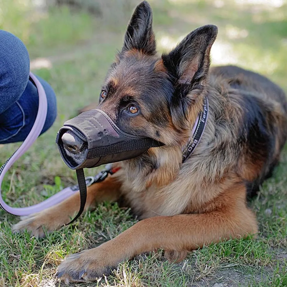 Ferplast muselière pour chiens de taille grande safe large anti-morsures, nylon robuste, partie antérieure ouverte, rembourrage