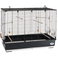 Ferplast volière cage à oiseaux piano 7 grande cage pour oiseaux, canaris, pinsons, perruches ondulées, inséparables, en métal,