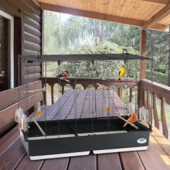 Ferplast volière cage à oiseaux piano 7 grande cage pour oiseaux, canaris, pinsons, perruches ondulées, inséparables, en métal,