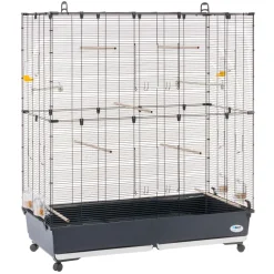 Ferplast volière cage à oiseaux planeta large grande cage pour canaris, pinsons, perruches ondulées, inséparables, métal,