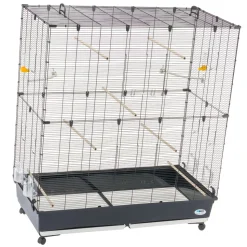 Ferplast volière cage à oiseaux planeta large grande cage pour canaris, pinsons, perruches ondulées, inséparables, métal,