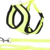 FLAMINGO - Harnais avec laisse couleur jaune fluo pour chaton