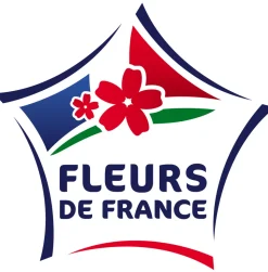 FLEURON D'ANJOU - Plant de romarin pot de 1l