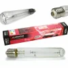 FLORASTAR - Ampoule hps 600w hro floraison