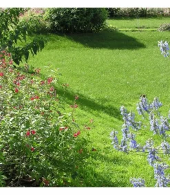 FLORIVERT - Engrais flori or kz 20 kg améliore l'absorption des nutriments, pour sol scarifié - florivert neg01887