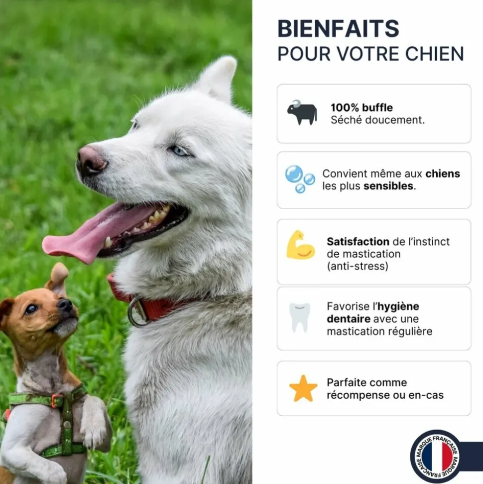 FRANCE CROQUETTES - Bâtonnets de buffle (chiot et senior) - 150gr - france croquettes