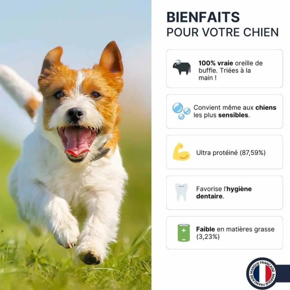 FRANCE CROQUETTES - Oreille de buffle 3x400g - france croquettes