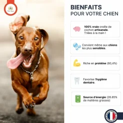 FRANCE CROQUETTES - Oreille de porc 3x500g - france croquettes