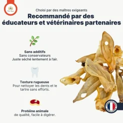 FRANCE CROQUETTES - Oreille d'agneau 100gr - france croquettes