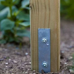 FUNGOO - Fungoo light