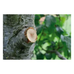 GARDENA - Coupe-branches à enclume smartcut comfort gardena