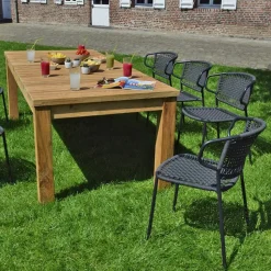 GECKO JARDIN - Chaises en métal et corde noir, flores (lot de 2)