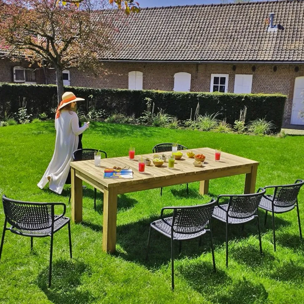 GECKO JARDIN - Chaises en métal et corde noir, flores (lot de 2)