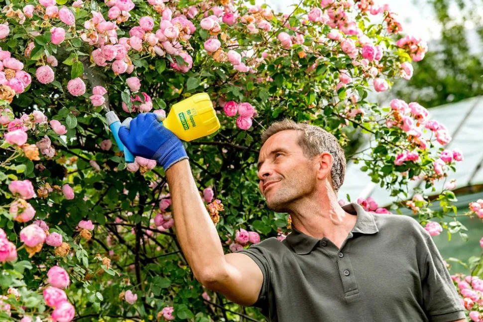 GLORIA - Pulvérisateur fin à gachette de précision hobby 05 flex - 0,5 l