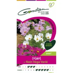 GONDIAN - Cosmo nain vega variée