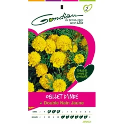 GONDIAN - Œillet d'inde double nain jaune