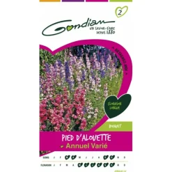 GONDIAN - Pied d'alouette annuel varié