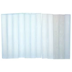 GRAINE CRÉATIVE - 12 pains oyumaru transparents