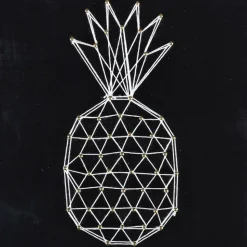 GRAINE CRÉATIVE - Coffret string art - tableau noir ananas art filaire 22 x 22 cm