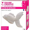 GRAINE CRÉATIVE - Plâtre de moulage 1 kg