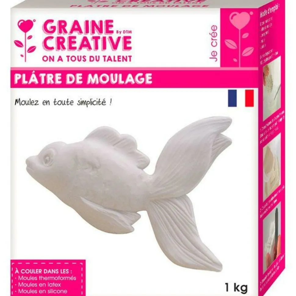 GRAINE CRÉATIVE - Plâtre de moulage 1 kg