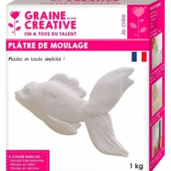 GRAINE CRÉATIVE - Plâtre de moulage 2 kg