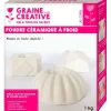 GRAINE CRÉATIVE - Poudre céramique à froid 1 kg