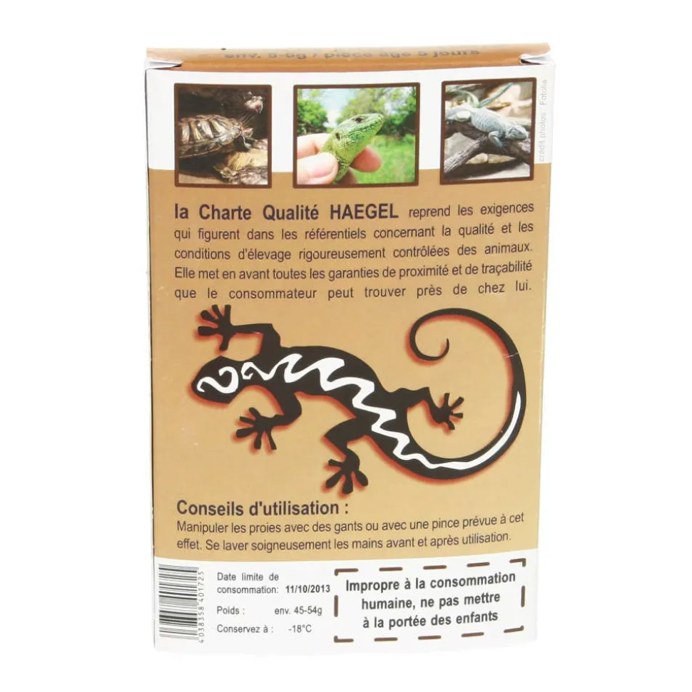 HAEGEL - Souris blanchons 5 jours, 5-6 gr (9 pièces)