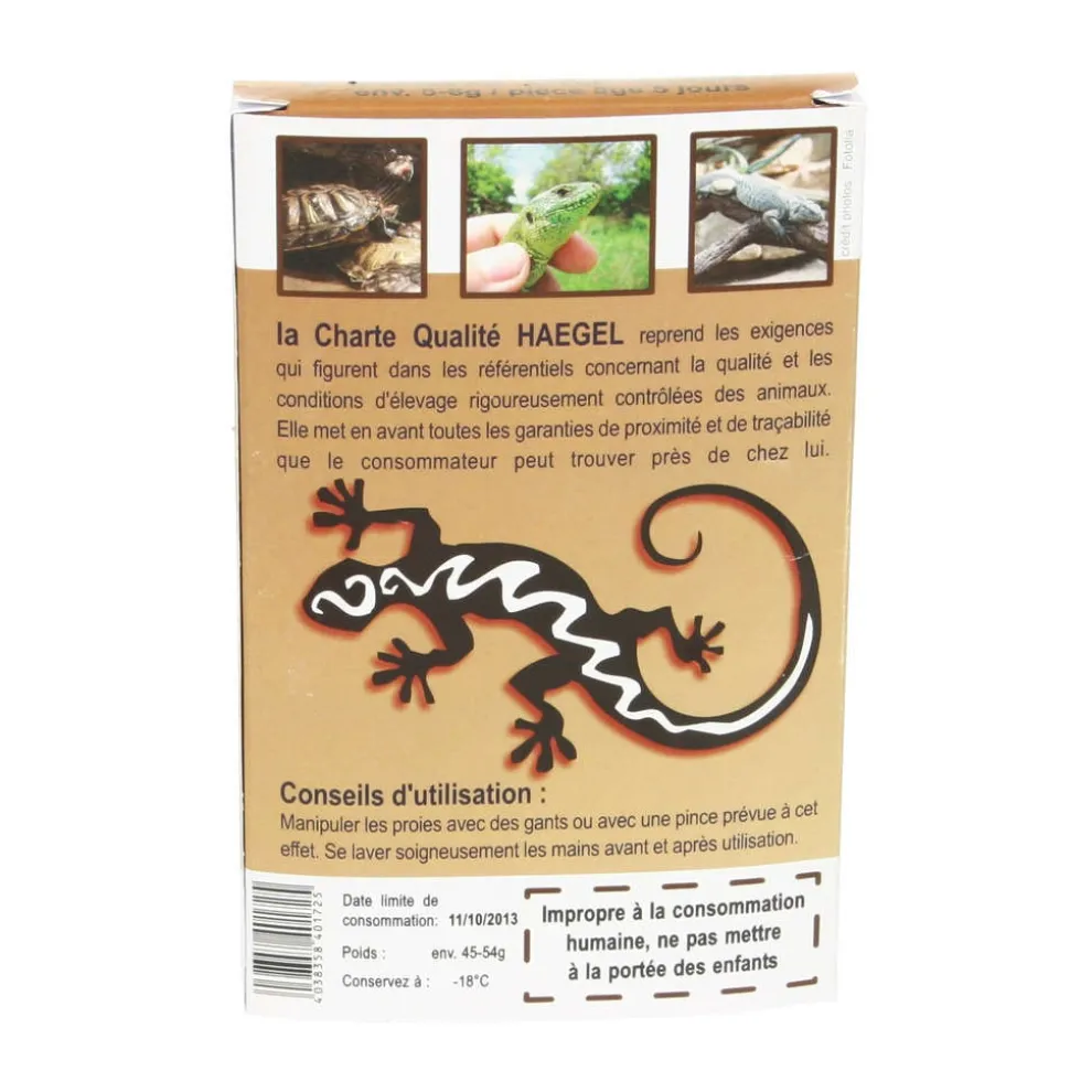 HAEGEL - Souris médium 12 jours, 17 gr (4 pièces)