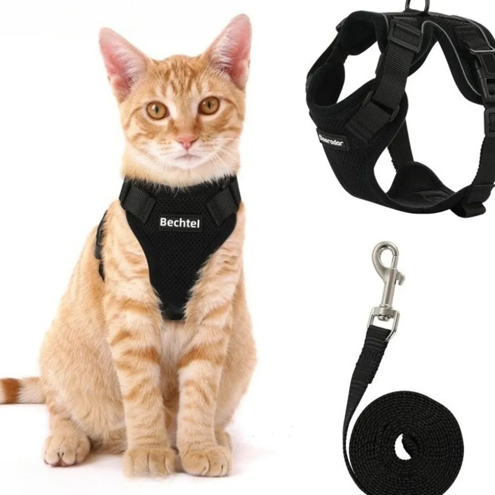 Harnais et laisse pour chat-XS