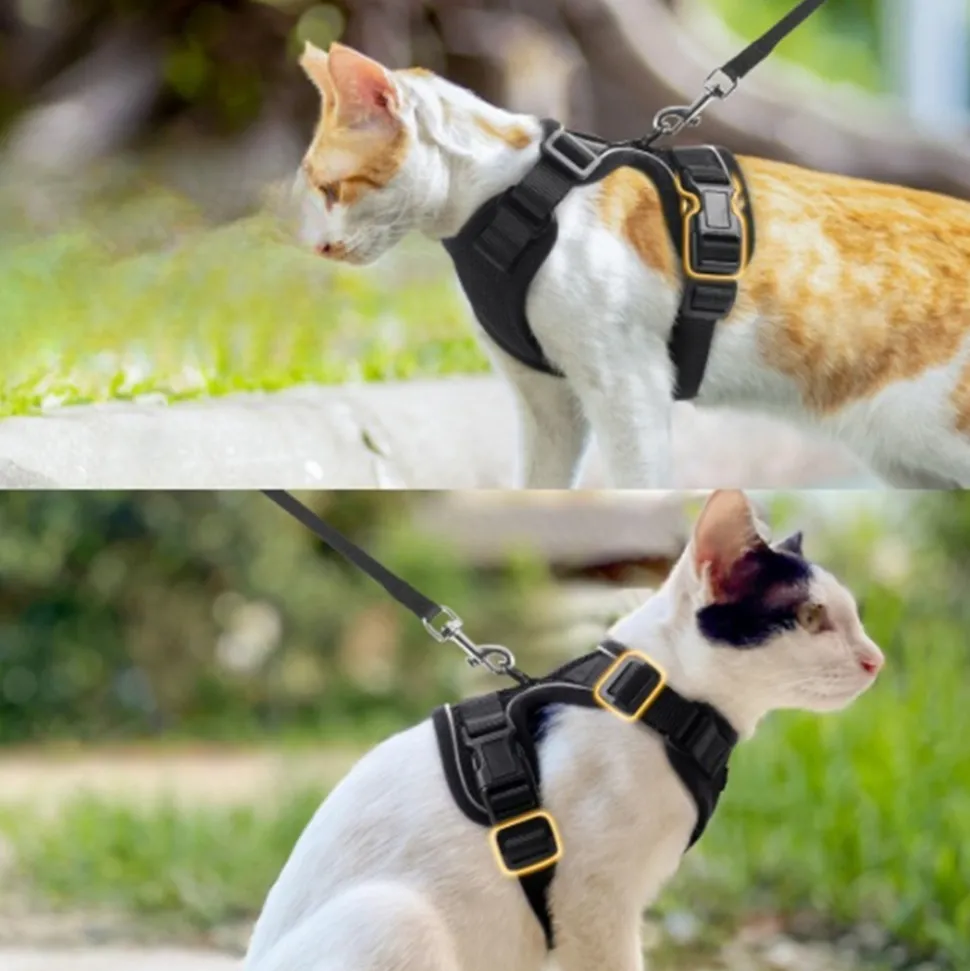 Harnais et laisse pour chat-XS