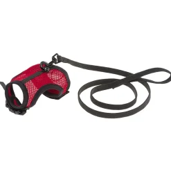 Harnais pour cochons d'inde jogging m, en filet perforé, equipé de laisse