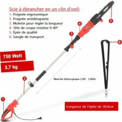 HECHT - H 971 w scie a ébrancher tronçonneuse avec manche télescopique 2,80m et tête de coupe rotative