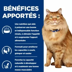 HILL'S - Croquettes chat adult prescription diets k/d j/d kidney care + mobility - hill's 3 kg