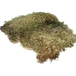 HOBBY - Mousse naturelle pour terrarium