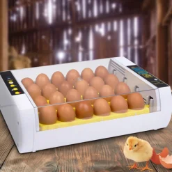 IDMARKET - Couveuse automatique 24 oeufs incubateur autonome intelligent