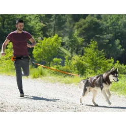 IDOG - Harnais de canicross pour chien X-Back One I-Dog L