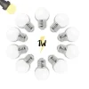 ILLUPRO - Lot de 10 ampoules 1w led blanc chaud guinguette e27 g45 plastique professionnelle