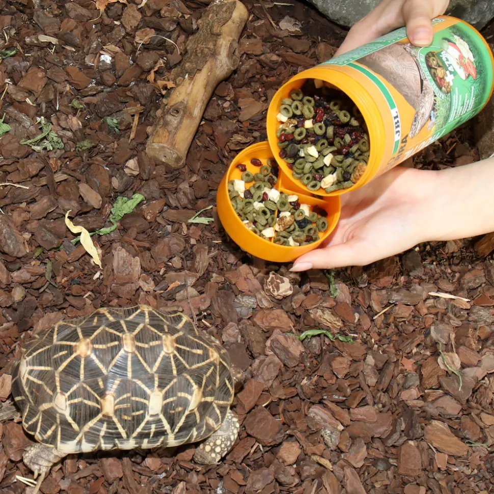 JBL - Fructil, alimentation pour tortues terrestres : 250ml