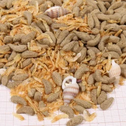 JBL - Molluscus, alimentation pour tortues d’eau : 250ml