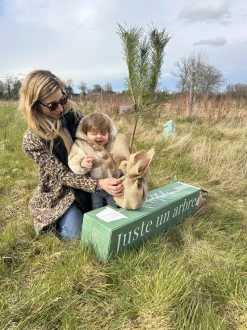 JUSTE UN ARBRE. - Chêne pédonculé | offrez un arbre pour célébrer les grands moments de vie (naissance, mariage). Un cadeau unique.